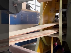 WPC แผ่นผนังกันเสียง โรงงานตรง กันน้ําและกันความชื้น